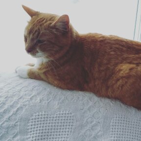 Cell phone May 2017 099