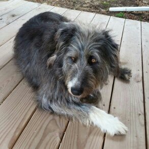 Cell phone May 2017 274