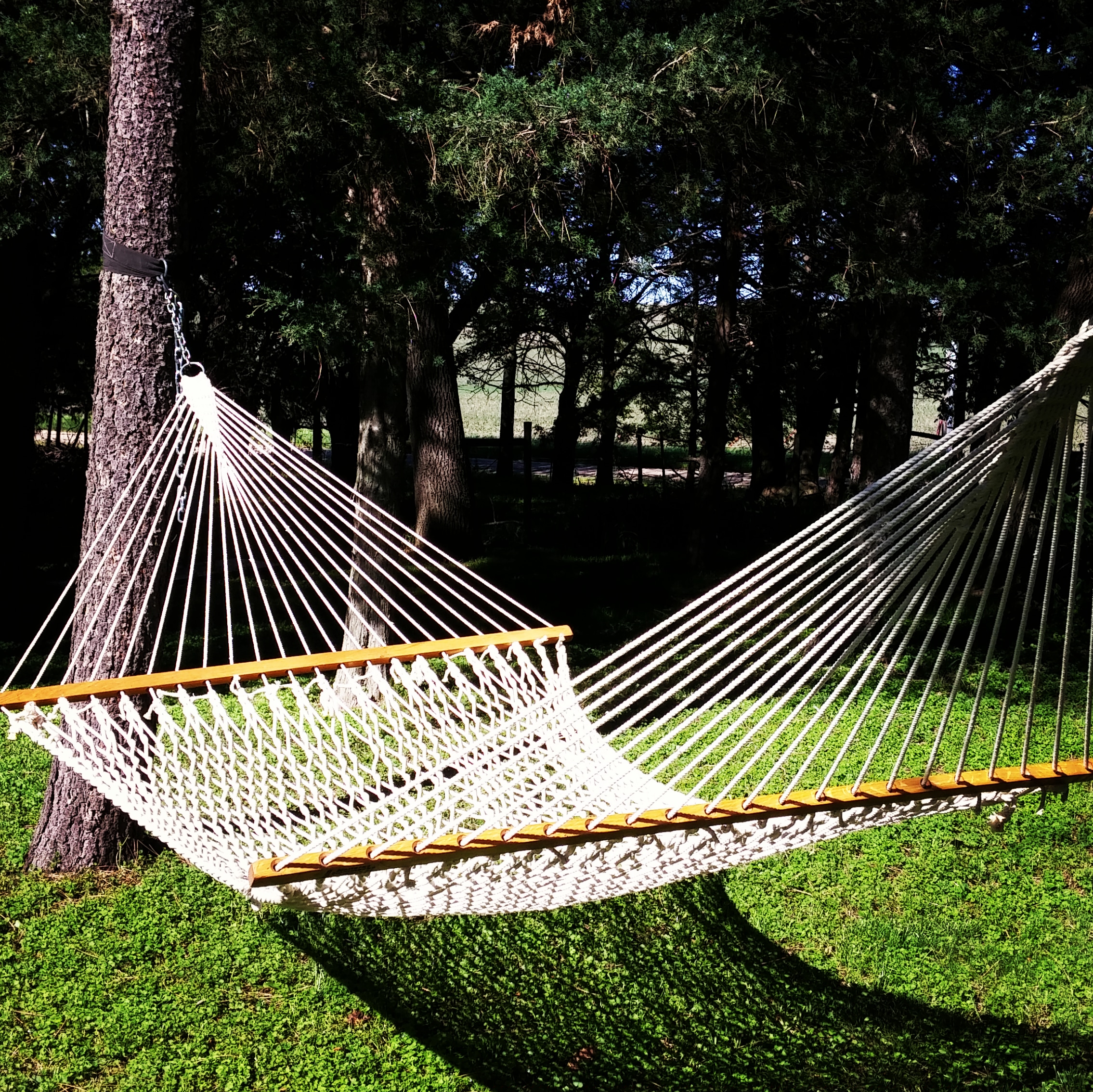 IMG_20180603_172703_471