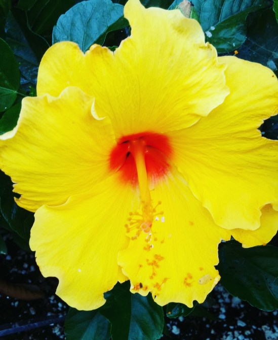 IMG_20180708_211918_073